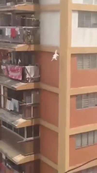 4лапы хвост и уши