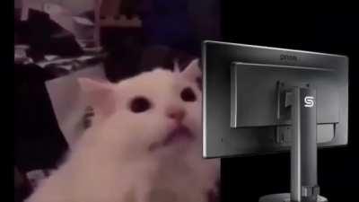 Exploring the world (sound on)