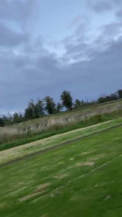 An interesting title