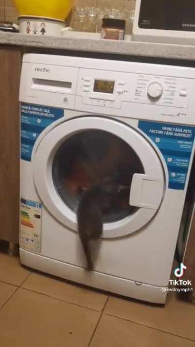 Figured this might fit here