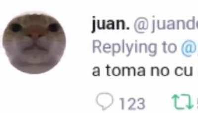 Comunidade LGBT destruindo mais um homofóbico de merda.