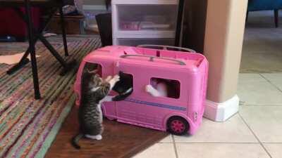 A gang of illegally smol criminals commits grand theft auto