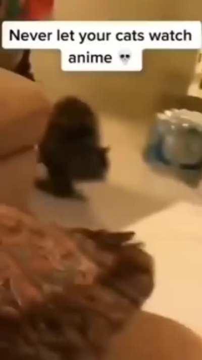 ☠️☠️☠️☠️