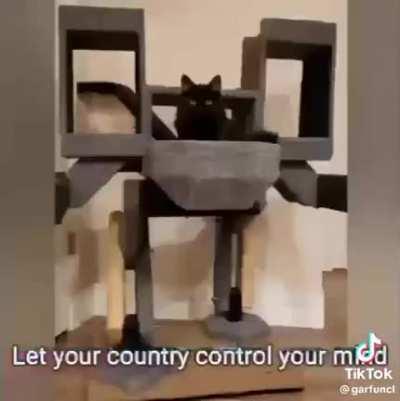 I swear tiktok MGRR memes are on another lvl