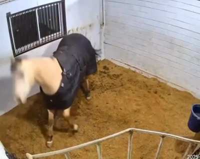 helllfkdjf yeahhhdhdhdhh