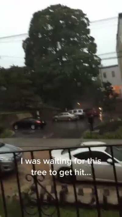 Eren Yeager is that you?