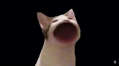 He&rsquo;s beginning to believe