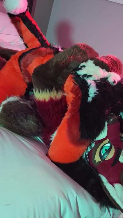 Watch me ride a hot fox 🔥🥵 | OF: NaughtyWoofs