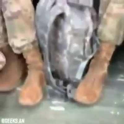 reverse isekai (not oc)