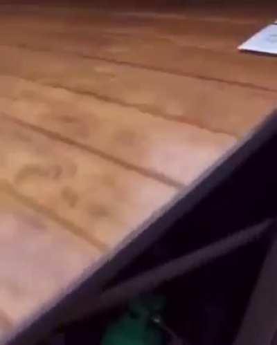 Poles are the real femboys lol