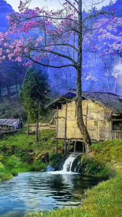 Reels instagram, tiktok stok video, doğa, manzara, nature, beautiful