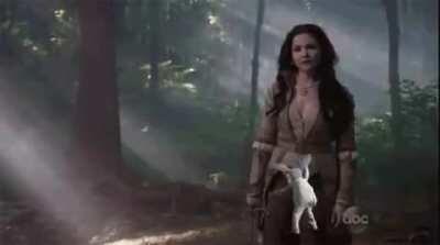 The Portal to Wonderland