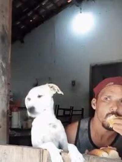 Dafuq they doing over dere?