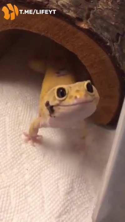 When mom brought yummy😘