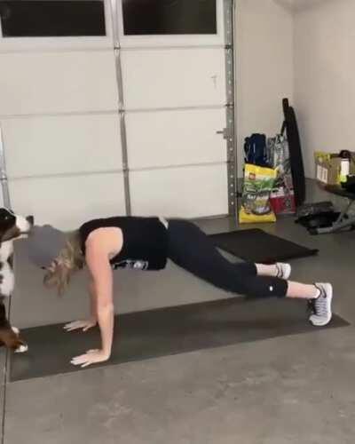 No workouts for today!