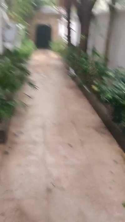 Heavy rain in Cairo, Egypt. Day one of a predicted three day storm.( We never get rain here so I'm really excited!)