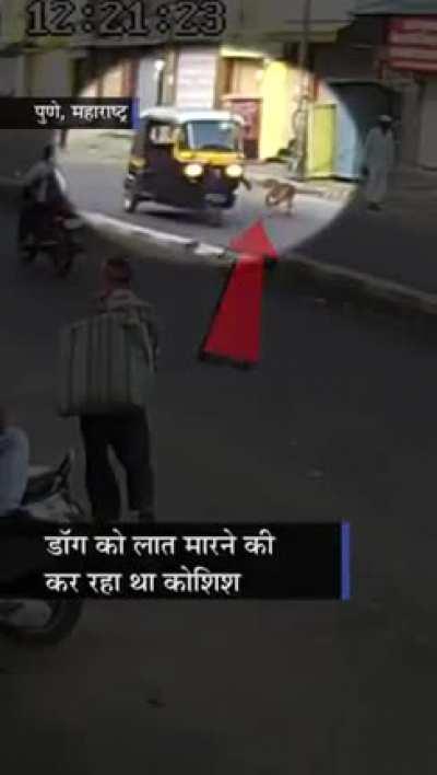 Trying to kick a street dog