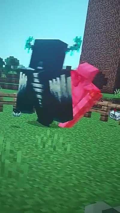 Immortal iron golem glitch.