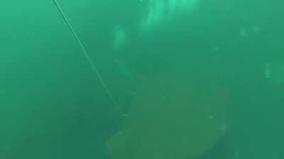 Descending onto wrecks can be eerie.