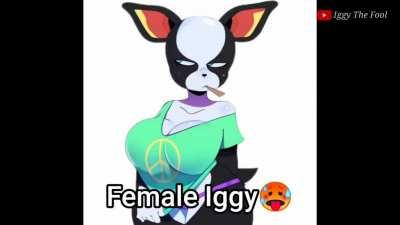 Different breeds of Iggy