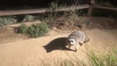 Stay still…. they can’t see us