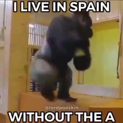 Esta va pal que cago el stream ayer 🖕