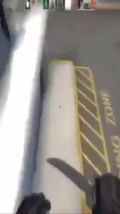 i put the silly cats into a compilation of sorts