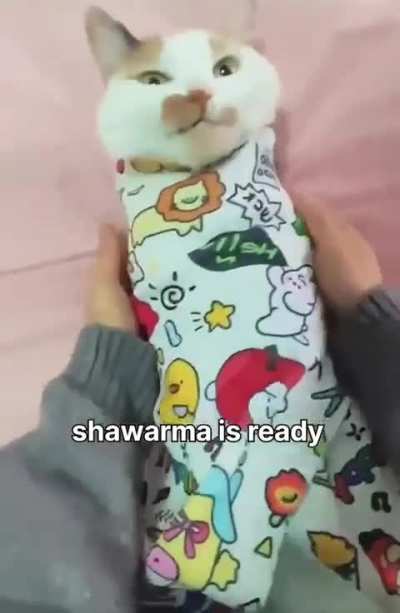 Wunk shawarma