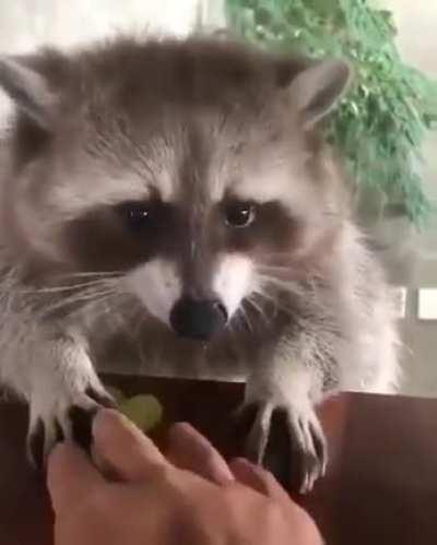 Feel like this belongs here