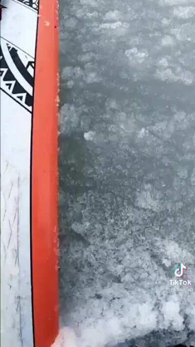 icee ocean surfing, why?