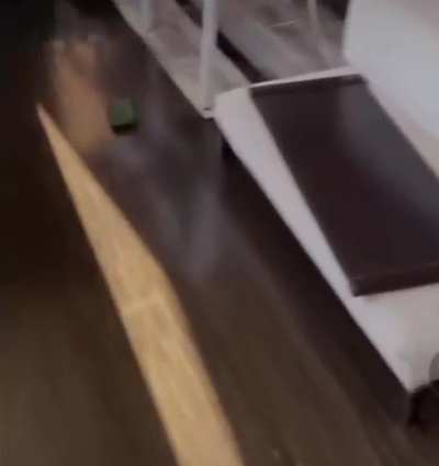 Rich family freaks out when their millionaire yacht is smashed by a billionaires yacht.