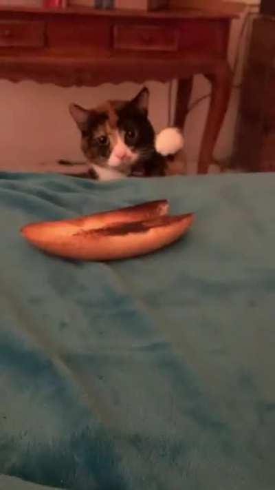 I was told to this sub might like my silly girl.