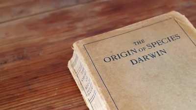 Deixa acontecer naturalmente