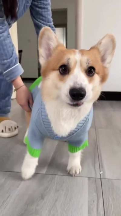 If only it was always that easy😆