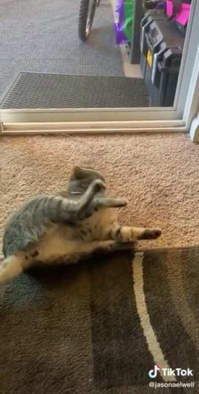 rArE wHiTe SnAkE mUrDeRs HeLpLeSs TiGeR