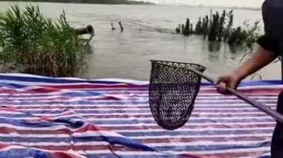 Please don’t go...