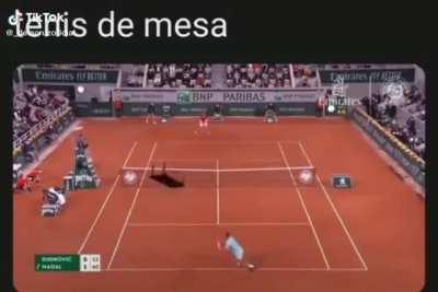 Tenis de mesa