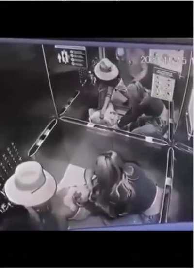 A woman in a Chilean elevator with a support dog that attacks a man's puppy unprovoked. Nsfw