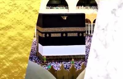 That's just a theory...