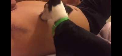 Thirsty Dog 😏😏😏