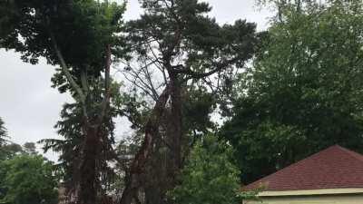 Recent rainstorm in my hometown