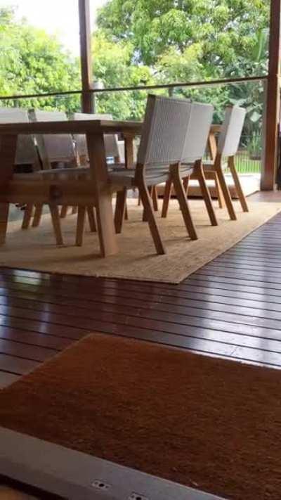 tErriFIeD roTtwEILER ruNs FOR hIs LiFe