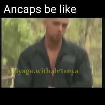 For the rules. Im not a leftist and not a statist. Here is just an ironic meme.