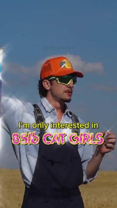 Average male anime fan