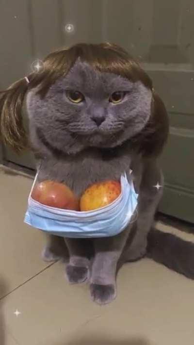 Catto: *enables NSFW* Reddit: