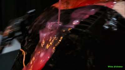 There was quite a mess made at this dinner...