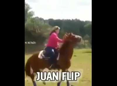 Le supe al chitpost?