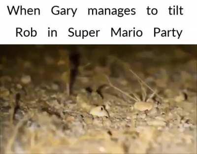 The most anticipated moment(s) of Gary's night