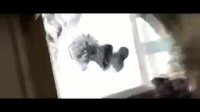 Song with saxophone in it. Can’t anyone tell me the name of this song please