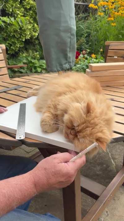 I think this works here...